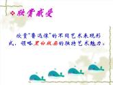 湘美版七下美术  2黑白世界 课件
