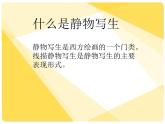 初中美術(shù) 湘美課標(biāo)版 八年級上冊 靜物畫有聲 線描靜物寫生 課件