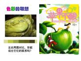 初中美术 湘美课标版 七年级上册 画家笔下的色彩 色彩真韵味 课件