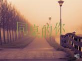 初中美術(shù) 湘美課標(biāo)版 七年級(jí)上冊(cè) 畫(huà)畫(huà)你我他  課件