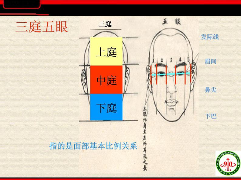 初中美术 人教课标版 七年级上册 小伙伴-脸部速写 课件第8页