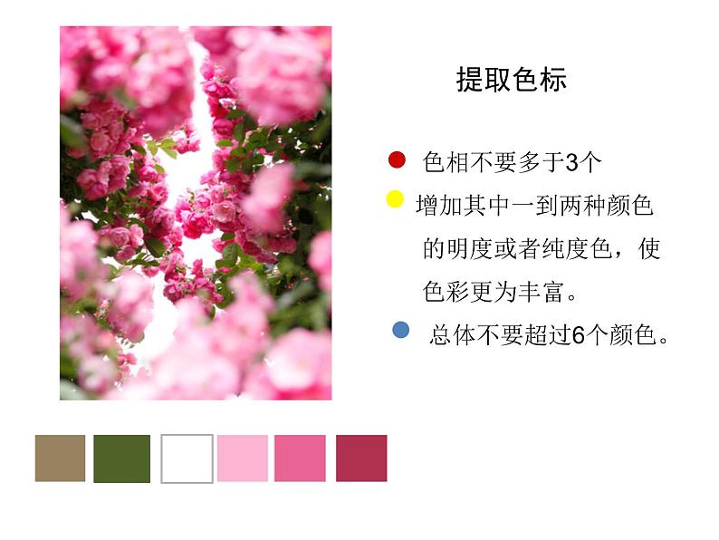 初中美术 人美课标版 七年级上册 扮靓生活的大自然 用大自然的色彩美化生活 课件第5页