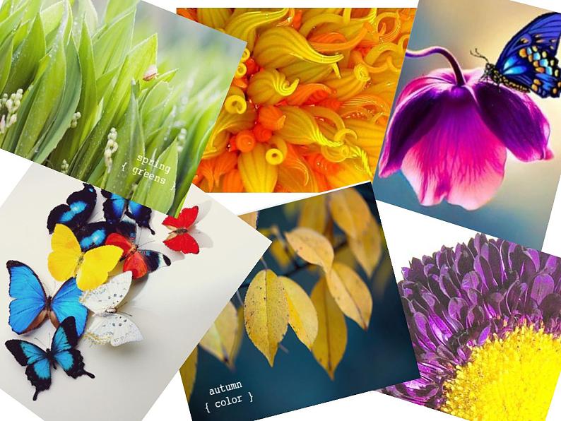 初中美术 人美课标版 七年级上册 扮靓生活的大自然 用大自然的色彩美化生活 课件第6页