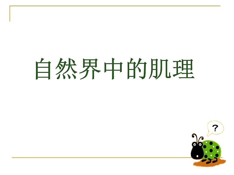 岭南社七年级下册美术课件 6.肌理与应用04