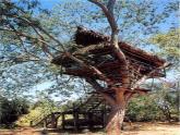 冀教版七年级下册 14.欣赏建筑之美 课件
