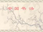 浙美版八年級(jí)下冊(cè)美術(shù)課件 10.中國(guó)書法