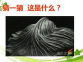浙美版九年級(jí)下冊美術(shù) 8.發(fā)現(xiàn)不一樣的美 課件