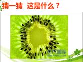 浙美版九年級(jí)下冊美術(shù) 8.發(fā)現(xiàn)不一樣的美 課件