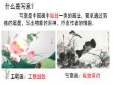 第8課《寫意花卉》課件PPT