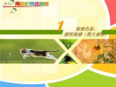 初中美術(shù) 人美課標(biāo)版 八年級(jí)上冊(cè)《用色彩表達(dá)情感》 課件