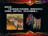 初中美术 人美课标版 八年级上册 用装饰色彩来表达  课件