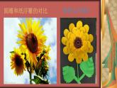 初中美術 人美課標版 八年級上冊 紙板的創(chuàng)想——成型方法  課件