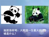 桂美版美术七下6.装饰画的美感 课件