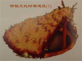 冀教版七年级下册 14.欣赏建筑之美 课件