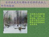 冀美版八年级下册 4.轻快明丽的水彩画 课件