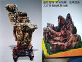 浙美版七年级下册美术 7.树石画法 课件