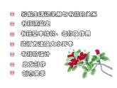 浙美版七年級(jí)下冊(cè)美術(shù) 9.暑假生活記錄冊(cè) 課件