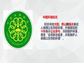 桂美版美术八下2.视觉传达艺术设计 课件