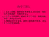桂美版美术七下6.装饰画的美感 课件