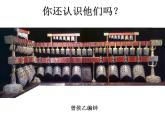 嶺南社八年級下冊美術(shù)課件 1.沉雄瑰麗的中國青銅藝術(shù)