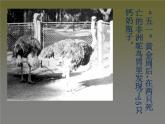 冀教版七年级下册 4.公益招贴设计 课件