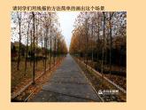 冀教版七年级下册 5.探索焦点透视 课件