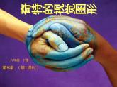 浙美版八年級下冊美術(shù)課件 8.奇特的視覺圖形