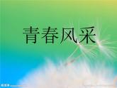 浙美版八年級(jí)下冊(cè)美術(shù)課件 6.青春風(fēng)采