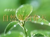 人教七下美术 2.2春天的畅想 课件