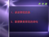 人美版七下美術(shù)  8寫意花卉 課件