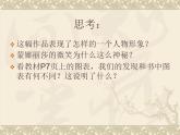 苏教版七下美术 4动感生活 课件