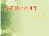 苏少版八下美术  2轻描重彩总相宜 课件