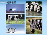 湘美版七下美术 2黑白世界 课件