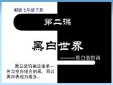 湘美版七下美术 2黑白世界 课件