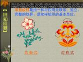 湘美版七下美术 4扮靓生活的花卉纹样 课件