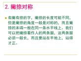 湘美版七下美術 7書法的結構之美 課件