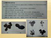 湘美版八下美術(shù)  2以形寫神 課件