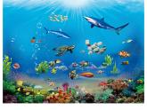 岭南社七年级下册美术课件 10.开发海洋 畅想未来