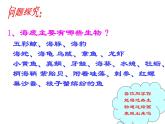 岭南社七年级下册美术课件 10.开发海洋 畅想未来