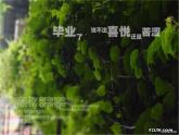 人美版九下美術(shù) 12班級電子紀(jì)念冊設(shè)計(jì)  課件