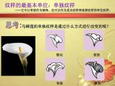 冀美版九年级下册 2.纹样的魅力 课件