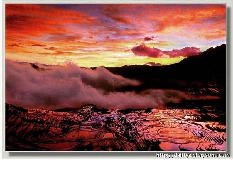 浙美版九年级下册美术 7.留住美好的瞬间 课件03