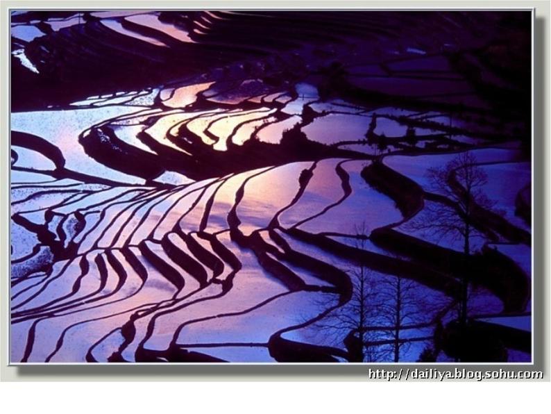 浙美版九年级下册美术 7.留住美好的瞬间 课件04