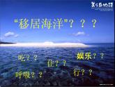 岭南社七年级下册美术课件 10.开发海洋 畅想未来