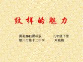 初中美术《纹样的魅力》部优课件