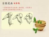 初中美術(shù)人美版七年級(jí)上冊(cè)綜合練習(xí)——漫畫部?jī)?yōu)課件