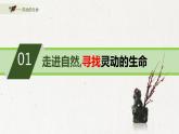 初中美术苏少版九年级上册 灵动的生命部优课件