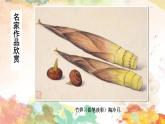 初中美术浙人美版八年级下册铅笔淡彩部优课件