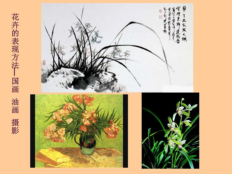 冀教版七年级下册 3.花卉装饰画 课件第6页