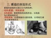 冀教版七年级下册 6.素描 课件